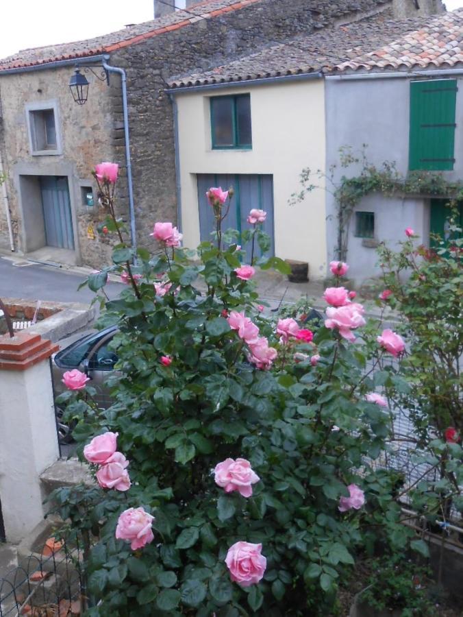 Maison Palmeral Coustaussa Zewnętrze zdjęcie